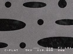 C-Flat™ Holey Carbon Grids for Cryo TEM, Electron Microscopy Sciences