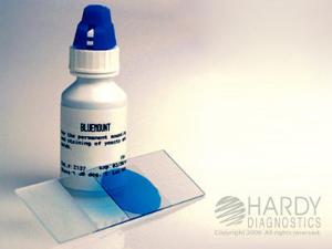 BlueMount™, Permanent Fungal Stain, Lactophenol Cotton Blue with PVA, Hardy Diagnostics
