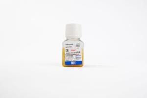 Serum, human, pooled (HCV, HIV, HBsAG Free), 100 ml