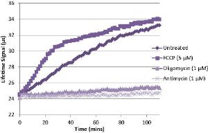 Oxygen Consumption Rate Assay Kit, Cayman Chemical