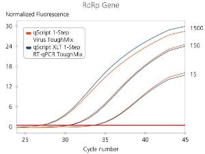 qScript™ 1-Step Virus ToughMix®, RdRp Gene