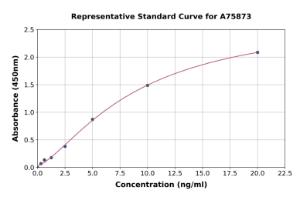 Representative standard curve for Human Sumo 2 ELISA kit (A75873)