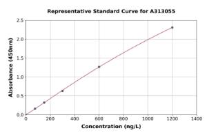 Representative standard curve for Mouse MTHFR ELISA kit (A313055)