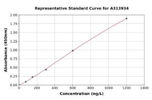 Representative standard curve for mouse Wnt2/IRP ELISA kit (A313934)