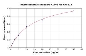 Representative standard curve for Human Collagen II alpha 1 ELISA kit (A75313)
