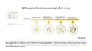 Lipid nanoparticles formulation process using microfluidic systems