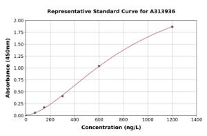 Representative standard curve for human FMO3 ELISA kit (A313936)