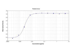 Antibody SARS-COV2 NUCLEOCAPSID 100 μg.