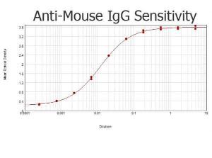 Rabbit-A-mouse IgG (H+L)
