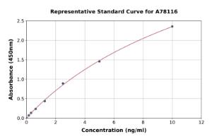 Representative standard curve for Mouse Factor VII ELISA kit (A78116)