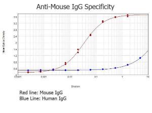 RBBT-A-mouse IgG MIN CROSS HU