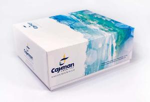 S-Nitrosylated Protein Detection Kit (Biotin Switch), Cayman Chemical Company