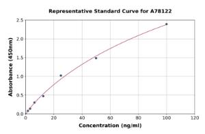 Representative standard curve for Human GAD67 ELISA kit (A78122)