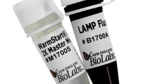 Warmstart lamp kit (dna /RNA) 500 rx