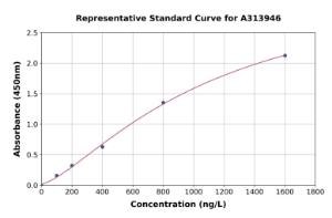 Representative standard curve for human TGF alpha ELISA kit (A313946)