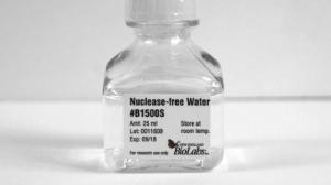 Nuclease-free water - 100 ml