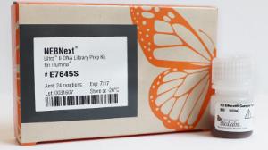 NEBNext® Ultra II DNA library prep with sample purification beads