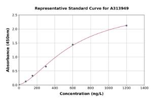 Representative standard curve for human Trichohyalin ELISA kit (A313949)