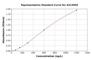 Representative standard curve for human VGluT1 ELISA kit (A313950)