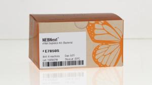 NEBNext®&nbsp;rRNA depletion kit (bacteria)
