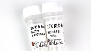 KLD enzyme mix