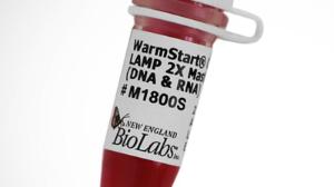 Warmstart® Colorimetric LAMP 2X master mix (DNA and RNA)