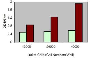 Jurkat cells were cultured in 96-well plate in 100 μl of culture medium. LDH assay was performed using 10 μl of culture medium according to the kit instructions. Light bar: Low control; Dark bar: High control.