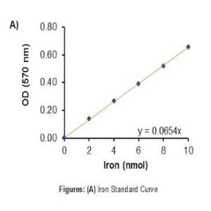 Total Iron-Binding Capacity (TIBC) and Serum Iron Assay Kit (Colorimetric)