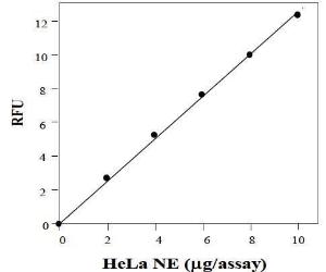 Analyses of HDAC Activity in HeLa Nuclear Extract. HeLa nuclear extract (NE) in<br />various amounts were incubated with 5 Fl HDAC fluorometric substrate. After 30 min,<br />the reactions were stopped with 10 Fl Lysine Developer. Samples were then read in a<br />fluorescence plate reader with Ex/Em = 360/460 nm.