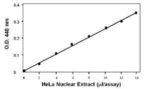 Analyses of HAT Activity in HeLa Nuclear Extract. HeLa nuclear extract (Cat. # 1641-1) in various amounts was incubated with HAT substrate. Activity was analyzed in a micro plate reader at 440 nm according to the kit instructions.