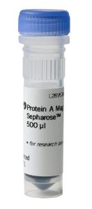Protein a mag sepharose