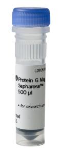Protein g mag sepharose