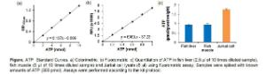 ATP Colorimetric/Fluorometric Assay Kit, BioVision