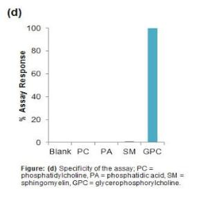 Glycerophosphorylcholine Assay Kit (ColorimetricFluorometric)