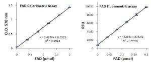 FAD Standard Curve. Assays were performed following this protocol, reading after 15 min incubation.