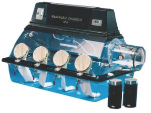 Controlled Environment Anaerobic Chamber Glove Boxes, Plas-Labs™
