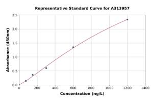 Representative standard curve for human GABA B Receptor 2/GABBR2 ELISA kit (A313957)