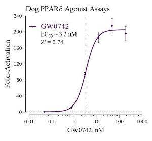 Dog PPARd reporter assay system