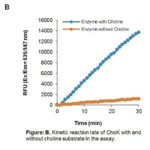 Choline Kinase (ChoK) Activity Assay Kit (Fluorometric)