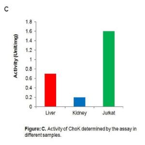 Choline Kinase (ChoK) Activity Assay Kit (Fluorometric)