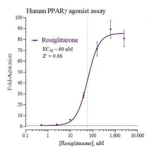 Human PPARg reporter assay system