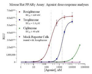 Mouse/rat PPARg reporter assay system
