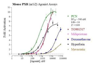 Mouse PXR reporter assay system