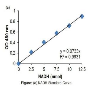 Phosphoglycerate Dehydrogenase (PHGDH) Activity Assay Kit (Colorimetric)