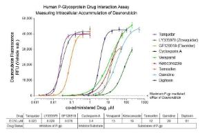 Human P-Glycoprotein/MDR1 drug interaction assay