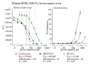 Human RORg reporter assay system