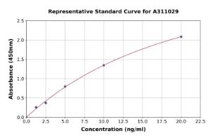 Representative standard curve for Human FGFR1 ELISA kit (A311029)
