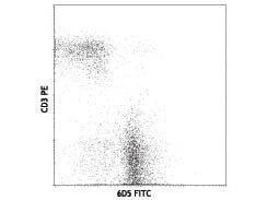 CD19 fluorescein antibody 500 μg