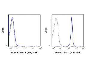 CD45.1 fluorescein antibody 500 μg