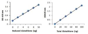Glutathione Standard Curve. Various amounts of standard glutathione was added to the glutathione reaction and incubated for 10 min according to the kit instructions. Absorbance was measured at O.D. 405 nm.